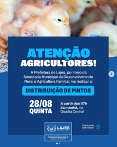 Leia mais sobre o artigo Distribuição de pintos na quadra central. 🐣