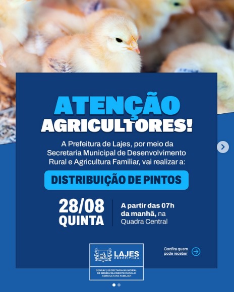 Leia mais sobre o artigo Distribuição de pintos na quadra central. 🐣