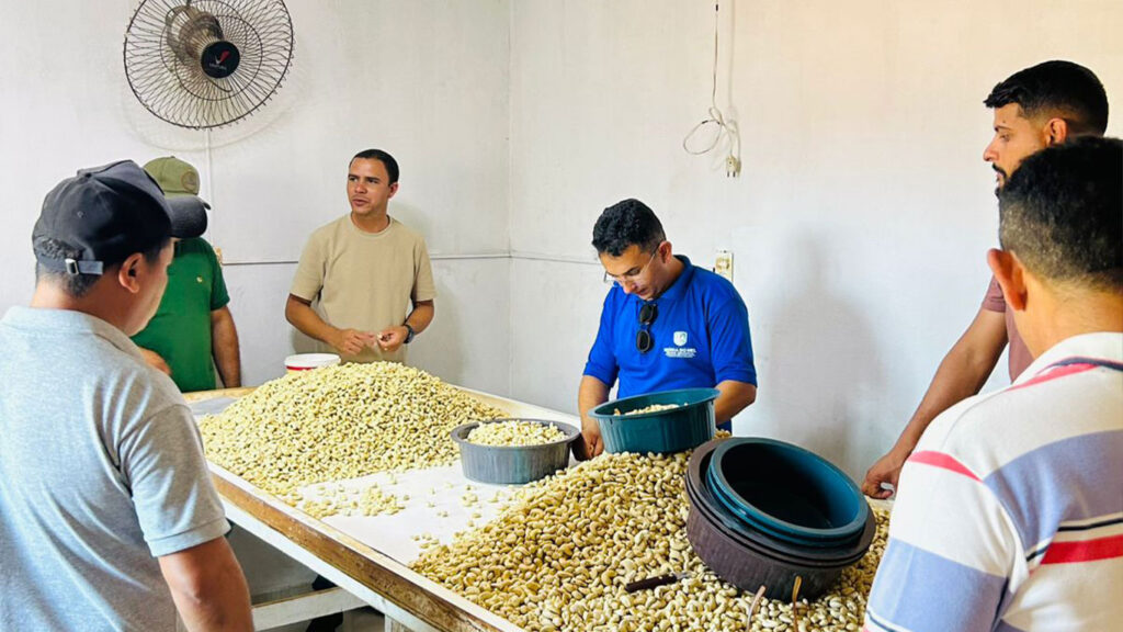 Equipe da SEDRAF de Lajes visita produtores e conhece o processo de beneficiamento da castanha em Serra do Mel.