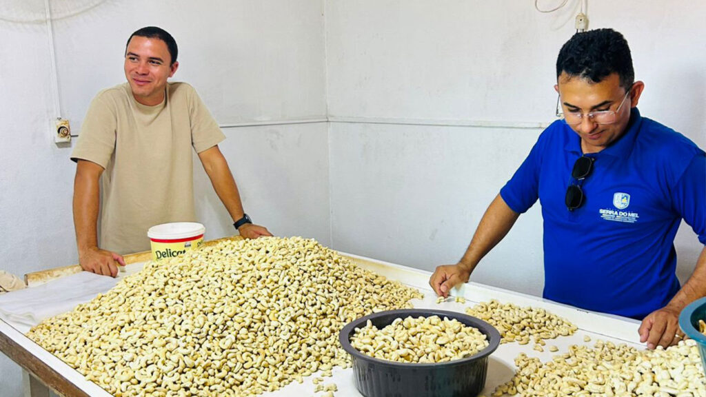 Secretário Alan Helton (à direita) acompanha o beneficiamento da castanha de caju durante visita técnica a Serra do Mel.