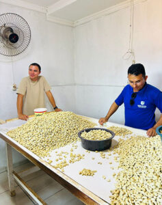 Leia mais sobre o artigo LAJES ESTUDA IMPLANTAÇÃO DA CAJUCULTURA NA REGIÃO DE SERRA DO LOMBO