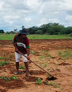 Leia mais sobre o artigo Corte de terras beneficia mais de 400 agricultores rurais em Lajes